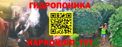 ешки Краснодар
