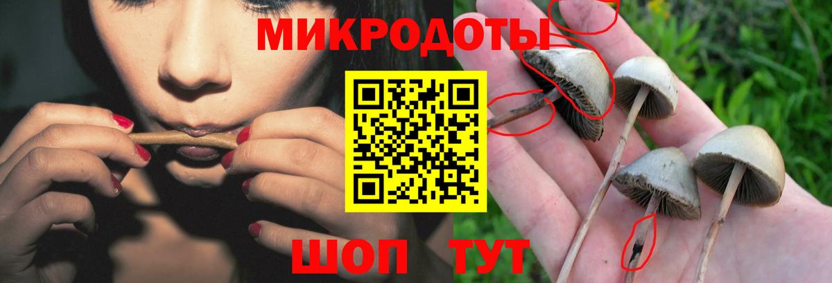 Псилоцибиновые грибы Magic Shrooms  Вход с VPN  Киселёвск  Галлюциногенные грибы Psilocybine cubensis 
